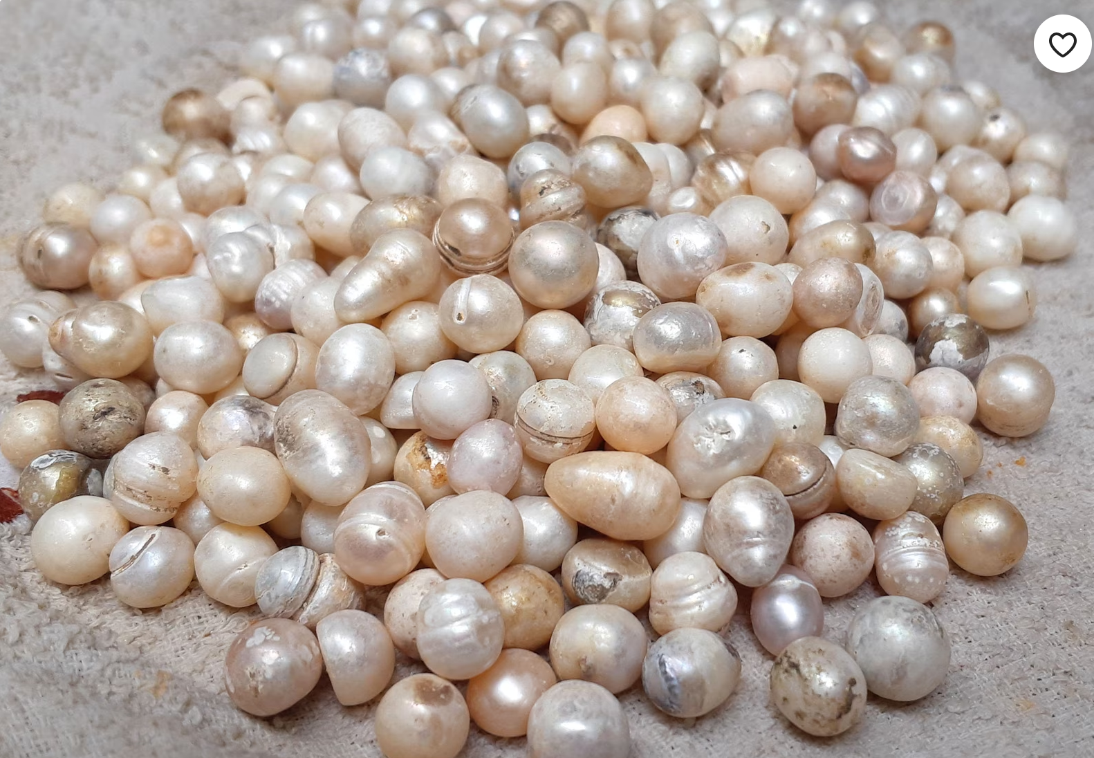 PEARL DROPS