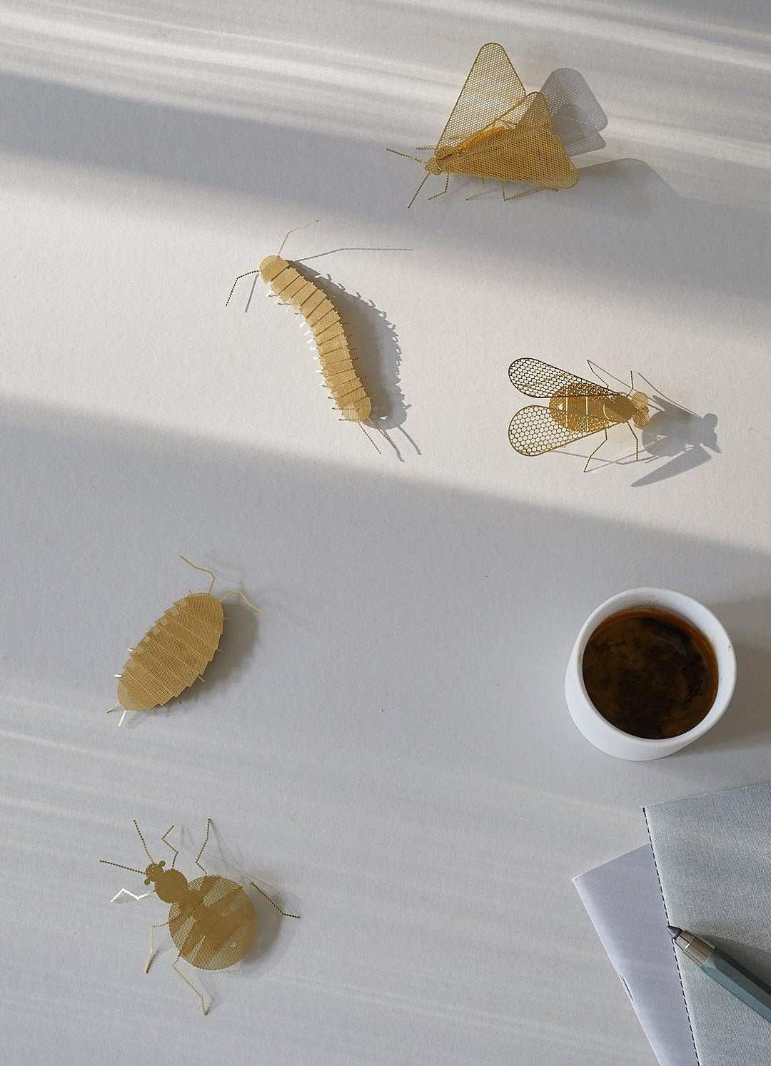 FLATMATE - CENTIPEDE